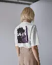 A0052.2.webp